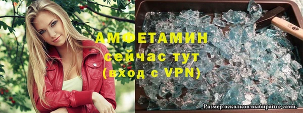 тгк Новодвинск