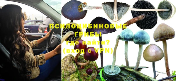 PSILOCYBIN Новозыбков