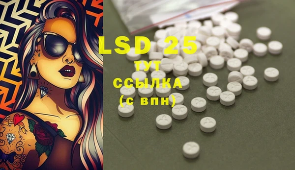 тгк Новодвинск