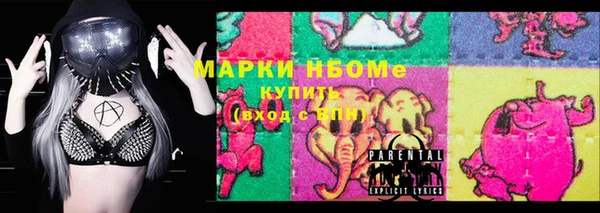 тгк Новодвинск