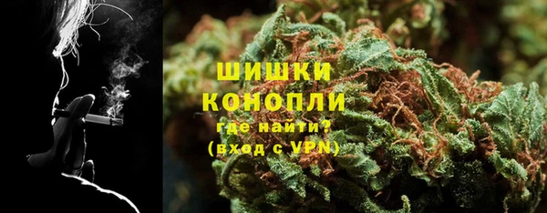 PSILOCYBIN Новозыбков