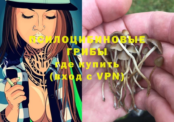тгк Новодвинск