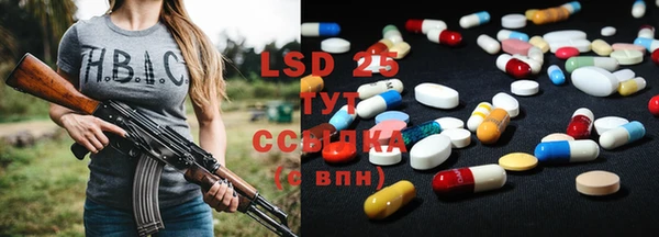PSILOCYBIN Новозыбков