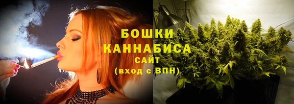 тгк Новодвинск