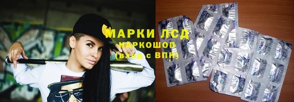ПСИЛОЦИБИНОВЫЕ ГРИБЫ Новокубанск