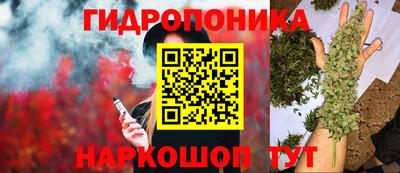PSILOCYBIN Малгобек