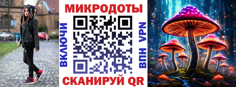 Галлюциногенные грибы Cubensis  Соль-Илецк 