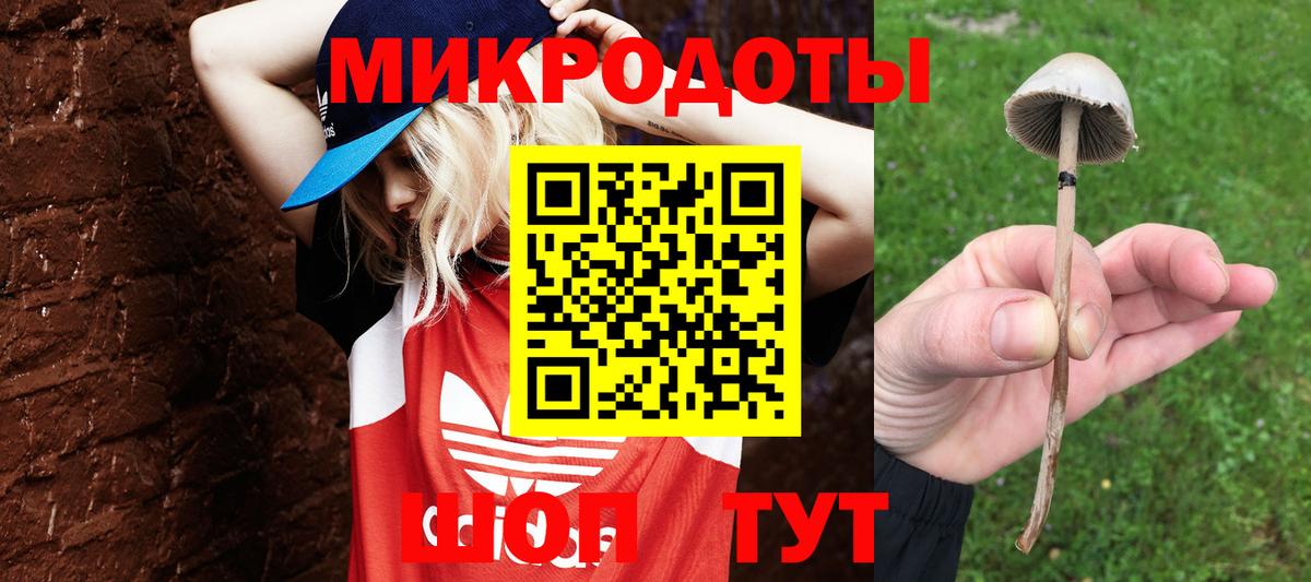 Галлюциногенные грибы прущие грибы  сколько стоит  Галлюциногенные грибы прущие грибы  Соль-Илецк  Вход с VPN 