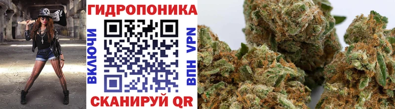 Бошки марихуана план  маркетплейс Telegram  Соль-Илецк 